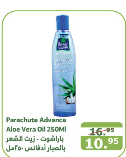 PARACHUTE Hair Oil  in Al Raya in KSA, Saudi Arabia, Saudi - Tabuk