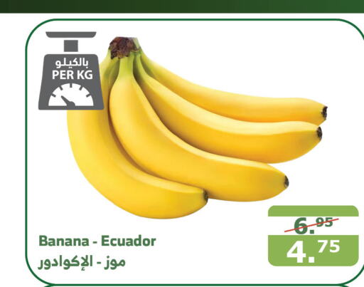  Banana  in Al Raya in KSA, Saudi Arabia, Saudi - Bishah