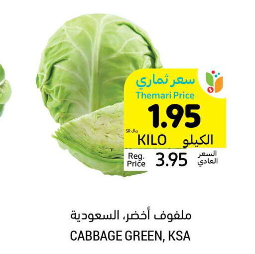  Cabbage  in أسواق التميمي in مملكة العربية السعودية, السعودية, سعودية - المدينة المنورة