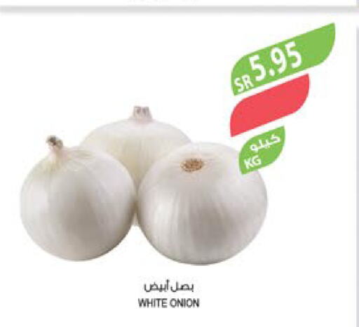  White Onion  in المزرعة in مملكة العربية السعودية, السعودية, سعودية - جازان