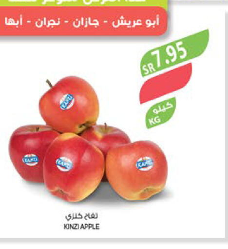  Apples  in المزرعة in مملكة العربية السعودية, السعودية, سعودية - الباحة