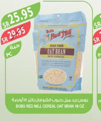  Oats  in Farm  in KSA, Saudi Arabia, Saudi - Yanbu