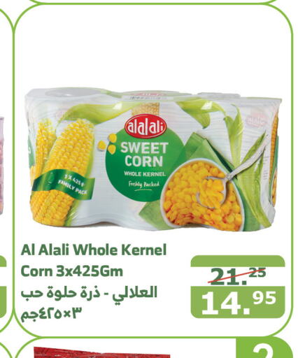 FRESHLY   in Al Raya in KSA, Saudi Arabia, Saudi - Ta'if