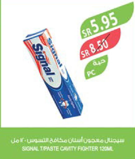 SIGNAL Toothpaste  in Farm  in KSA, Saudi Arabia, Saudi - Dammam