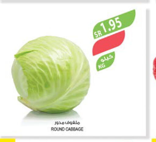  Cabbage  in Farm  in KSA, Saudi Arabia, Saudi - Najran