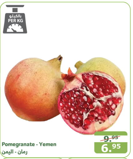  Pomegranate  in Al Raya in KSA, Saudi Arabia, Saudi - Bishah