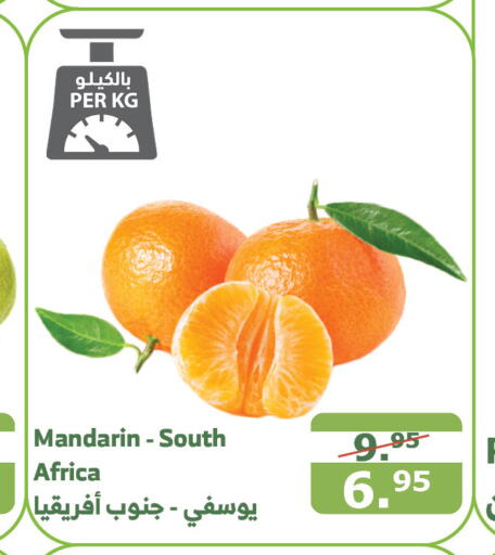  Orange  in Al Raya in KSA, Saudi Arabia, Saudi - Bishah