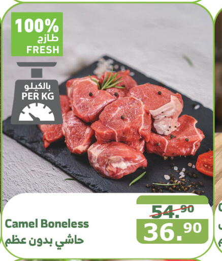  Camel meat  in Al Raya in KSA, Saudi Arabia, Saudi - Medina