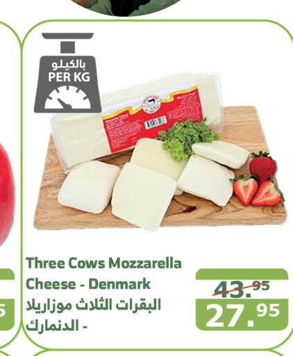  Mozzarella  in Al Raya in KSA, Saudi Arabia, Saudi - Medina