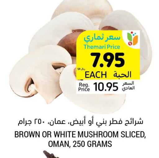  Mushroom  in Tamimi Market in KSA, Saudi Arabia, Saudi - Buraidah