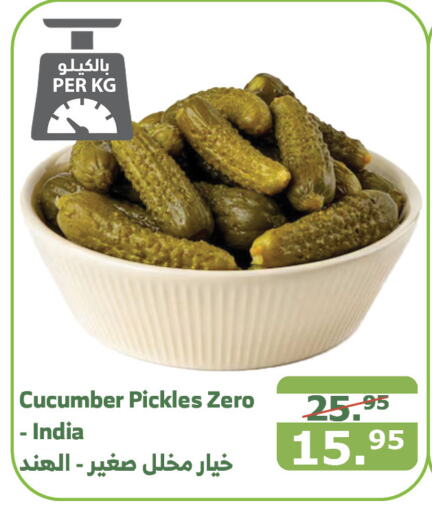  Pickle  in Al Raya in KSA, Saudi Arabia, Saudi - Medina