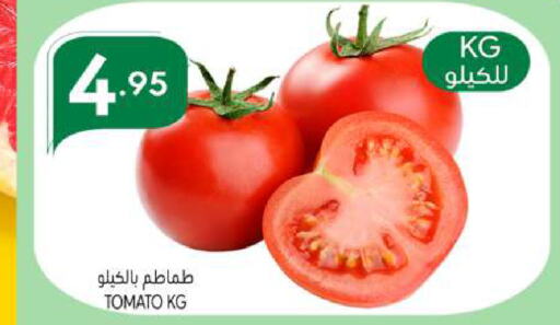  Tomato  in Manuel Market in KSA, Saudi Arabia, Saudi - Riyadh