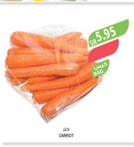  Carrot  in Farm  in KSA, Saudi Arabia, Saudi - Yanbu