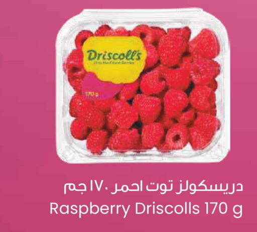  Berries  in The Sultan Center in Kuwait - Jahra Governorate