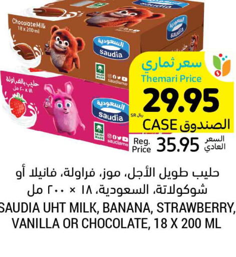 SAUDIA Flavoured Milk  in Tamimi Market in KSA, Saudi Arabia, Saudi - Buraidah