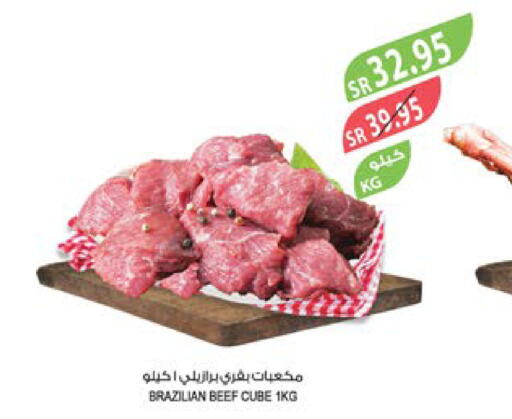  Beef  in Farm  in KSA, Saudi Arabia, Saudi - Tabuk