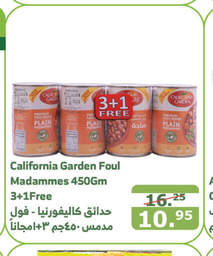 CALIFORNIA GARDEN Fava Beans  in Al Raya in KSA, Saudi Arabia, Saudi - Ta'if