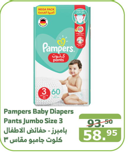 Pampers   in Al Raya in KSA, Saudi Arabia, Saudi - Medina