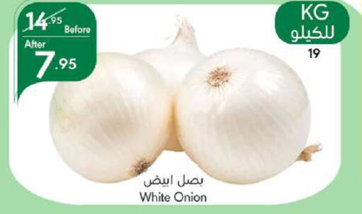  White Onion  in مانويل ماركت in مملكة العربية السعودية, السعودية, سعودية - جدة