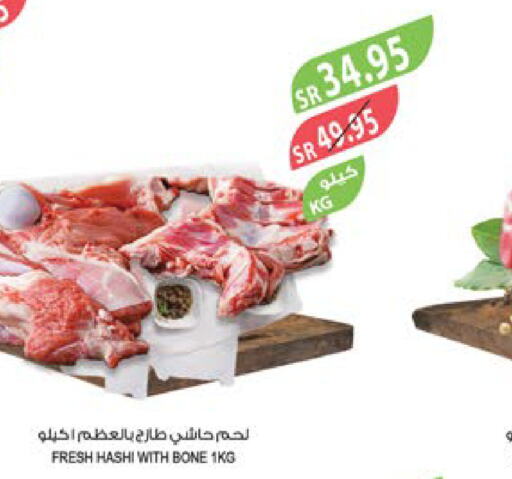  Camel meat  in Farm  in KSA, Saudi Arabia, Saudi - Tabuk