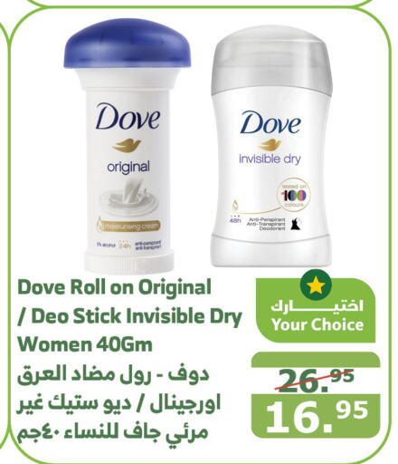 DOVE   in Al Raya in KSA, Saudi Arabia, Saudi - Tabuk