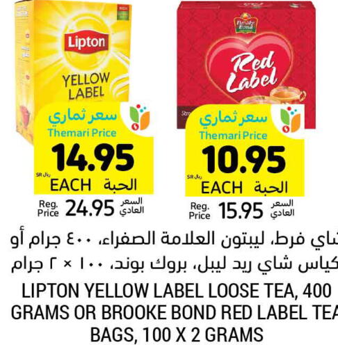 Lipton