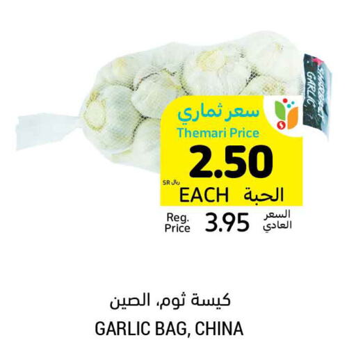  Garlic  in Tamimi Market in KSA, Saudi Arabia, Saudi - Buraidah