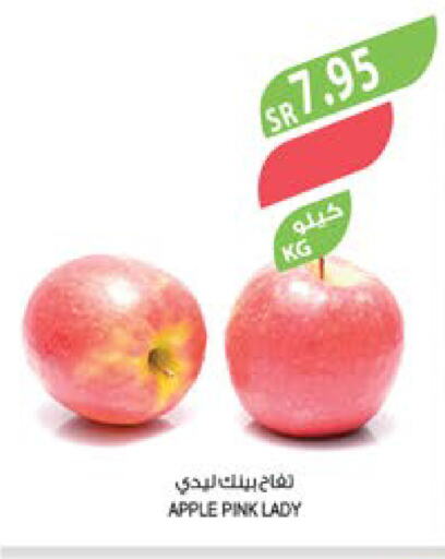  Apples  in Farm  in KSA, Saudi Arabia, Saudi - Khafji