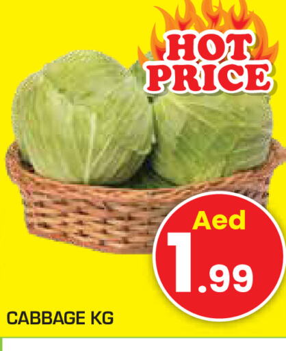  Cabbage  in سنابل بني ياس in الإمارات العربية المتحدة , الامارات - رَأْس ٱلْخَيْمَة