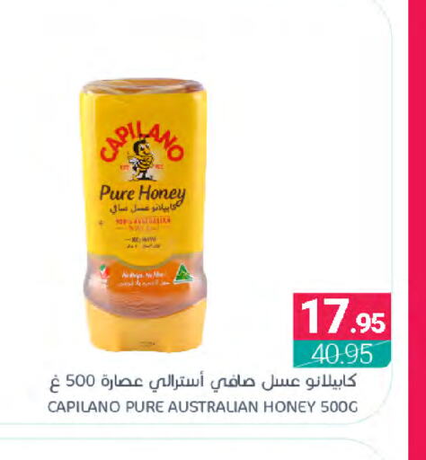  Honey  in Muntazah Markets in KSA, Saudi Arabia, Saudi - Dammam