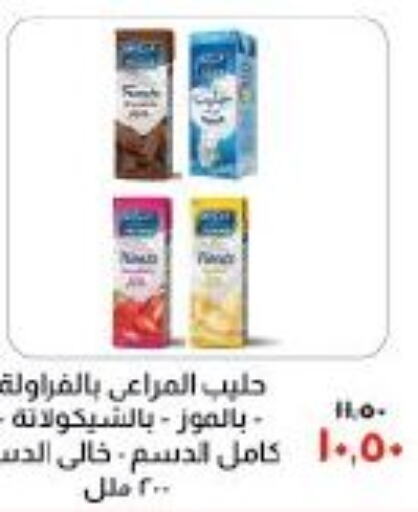 ALMARAI Flavoured Milk  in Kheir Zaman  in Egypt - Cairo