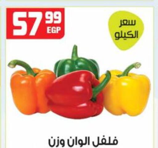  Chilli / Capsicum  in هايبر موسى in Egypt - القاهرة