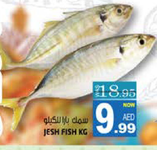    in Hashim Hypermarket in UAE - Sharjah / Ajman