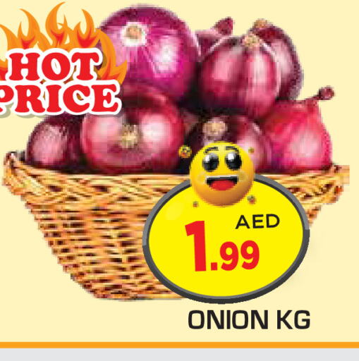  Onion  in سنابل بني ياس in الإمارات العربية المتحدة , الامارات - ٱلْعَيْن‎