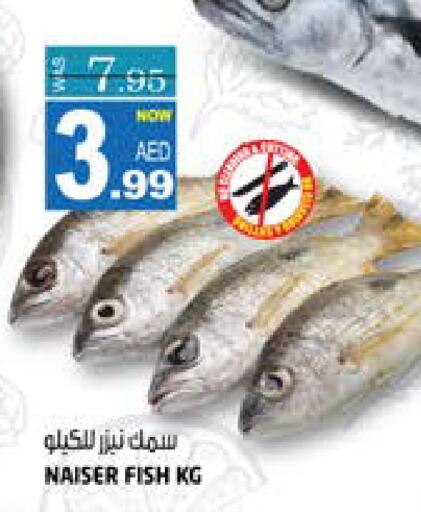    in Hashim Hypermarket in UAE - Sharjah / Ajman