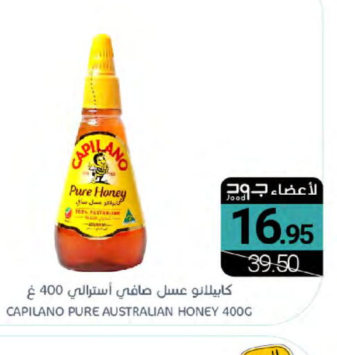  Honey  in Muntazah Markets in KSA, Saudi Arabia, Saudi - Dammam