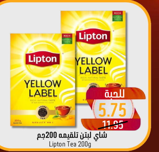 Lipton