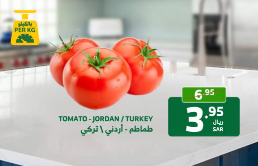  Tomato  in الراية in مملكة العربية السعودية, السعودية, سعودية - مكة المكرمة