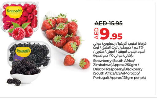  Berries  in Lulu Hypermarket in UAE - Fujairah