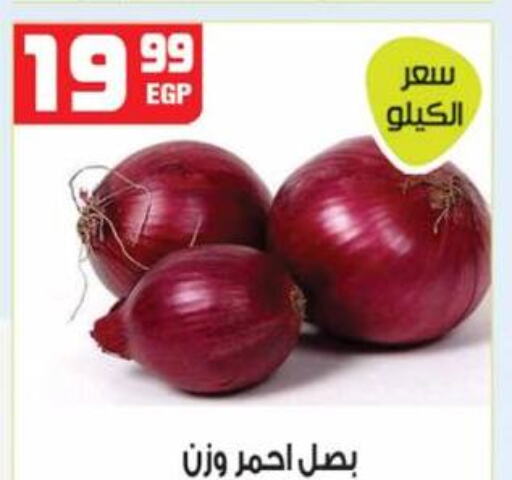  Onion  in هايبر موسى in Egypt - القاهرة