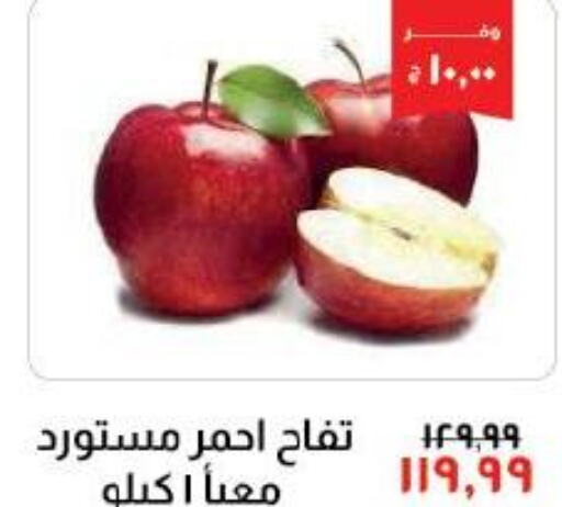  Apples  in خير زمان in Egypt - القاهرة