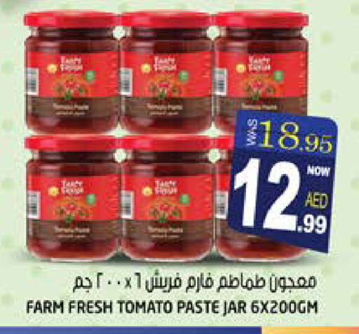  Tomato Paste  in Hashim Hypermarket in UAE - Sharjah / Ajman