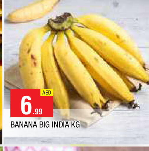  Banana  in المدينة in الإمارات العربية المتحدة , الامارات - الشارقة / عجمان