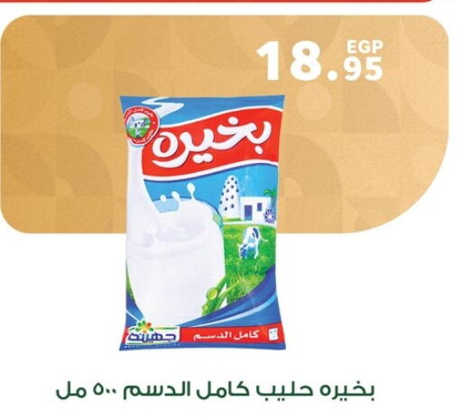  Milk Powder  in Panda  in Egypt - Cairo