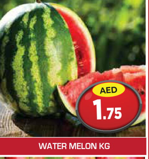  Watermelon  in سنابل بني ياس in الإمارات العربية المتحدة , الامارات - أبو ظبي