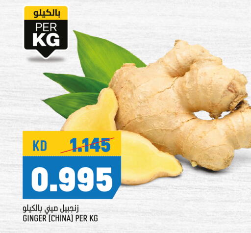  Ginger  in Oncost in Kuwait - Ahmadi Governorate