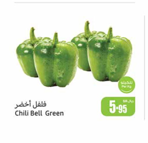  Chilli / Capsicum  in أسواق عبد الله العثيم in مملكة العربية السعودية, السعودية, سعودية - محايل