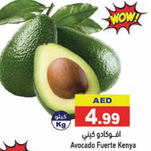  Avacado  in Aswaq Ramez in UAE - Sharjah / Ajman