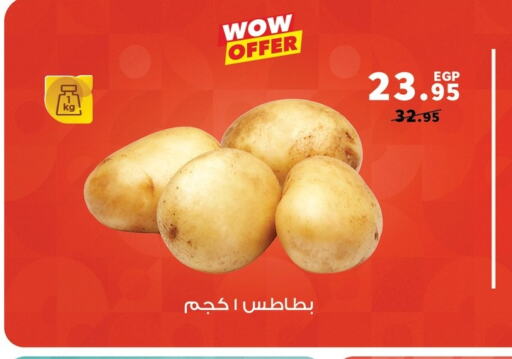  Potato  in بنده in Egypt - القاهرة