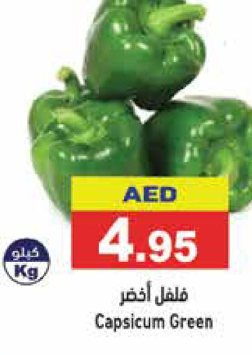  Chilli / Capsicum  in أسواق رامز in الإمارات العربية المتحدة , الامارات - الشارقة / عجمان